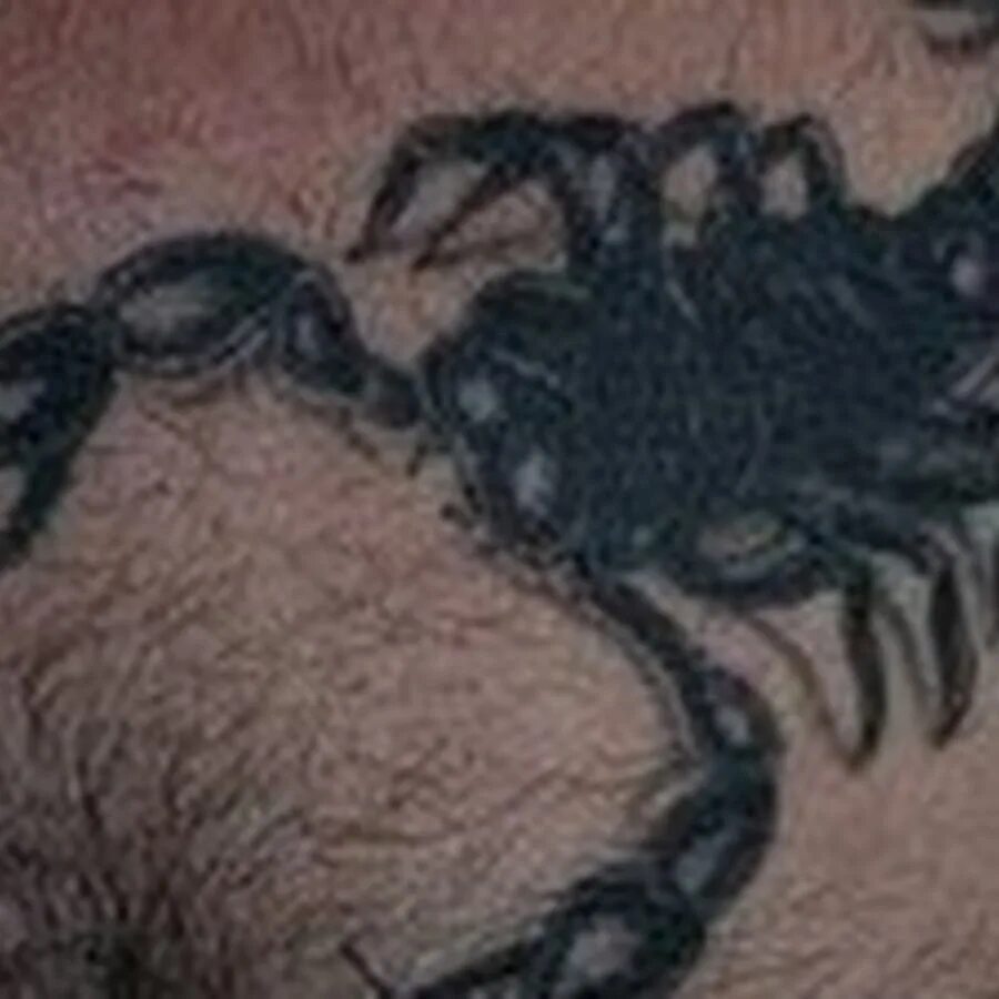 Татуировка Скорпион. Татушка Скорпион. Тату Скорпион на пояснице. Интимное тату скорпиона.