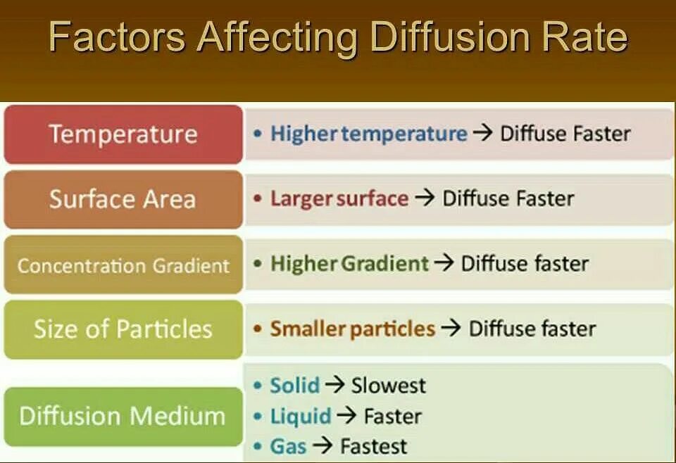 The effect of the temperature