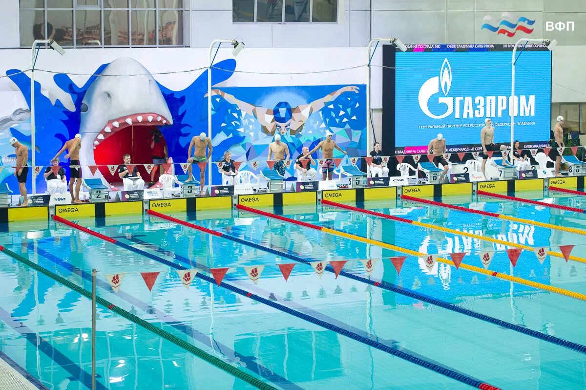 Бассейн сдюсшор барс псков. Кубок санкт петербурга по плаванию. Кудашев александр плавание. Кубок санкт-петербурга. Кубок сальникова.