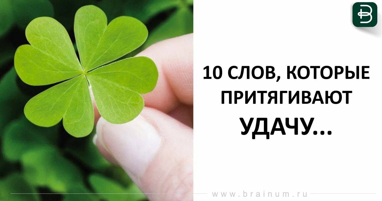 Удача в июне. Четырёхлистный клевер на удачу. Удача в июне. Удачи картинки. Изобилие процветание благополучие.
