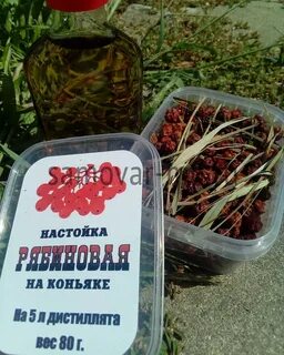 Рецепт красная рябиновая настойка