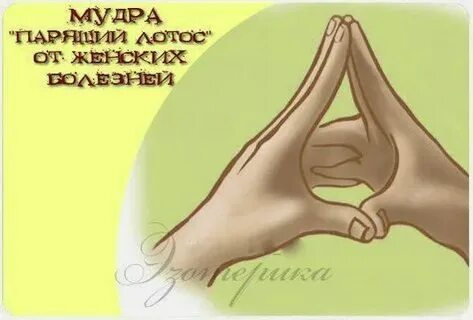 Мудра словно