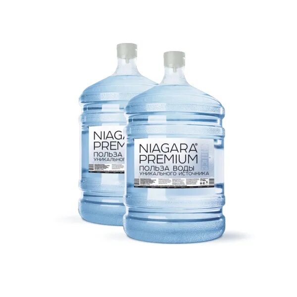 Niagara Premium вода. Питьевая вода наша вода артезианская 19 л этикетка. Вода Ниагара питьевая, 19л. Этикетка вода Ниагара. Сайт ниагара челябинск
