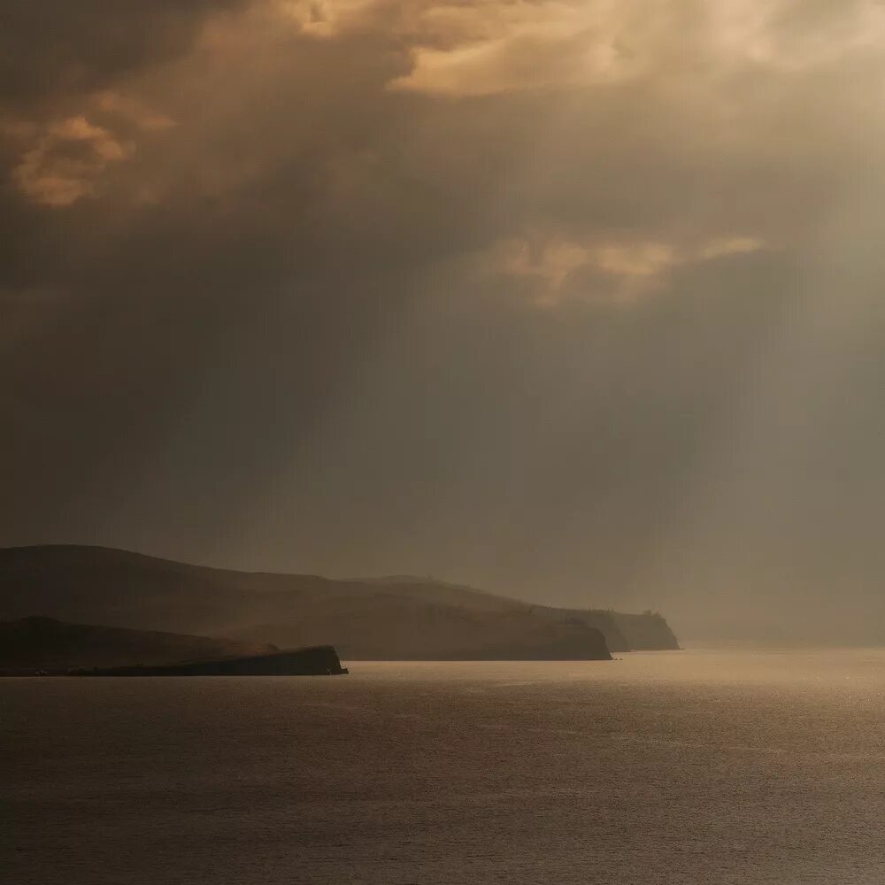 Light in august