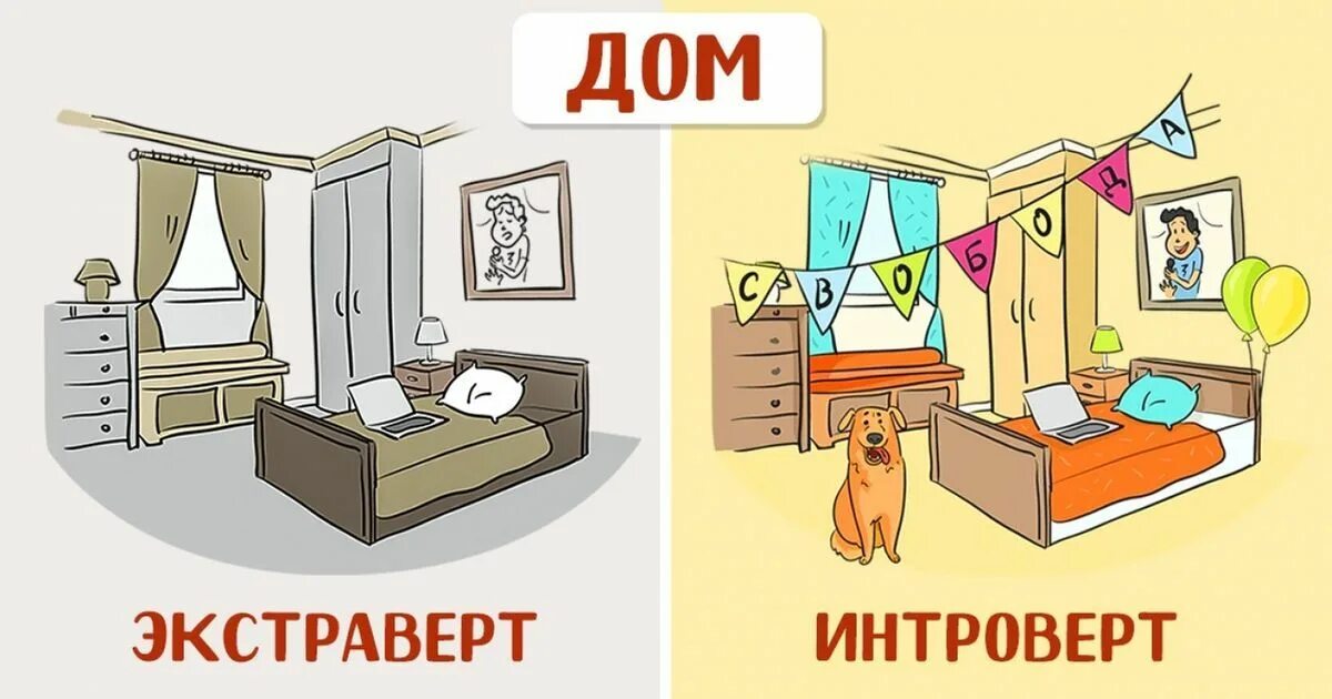 Про интровертов