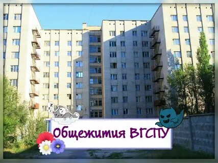 Общежитие вгспу волгоград хиросимы