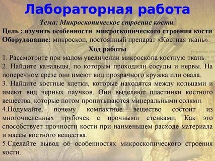 Исследование свойств кости лабораторная работа 9 класс