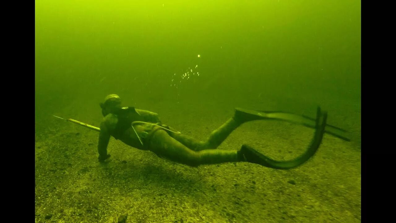 Курсы подвохи