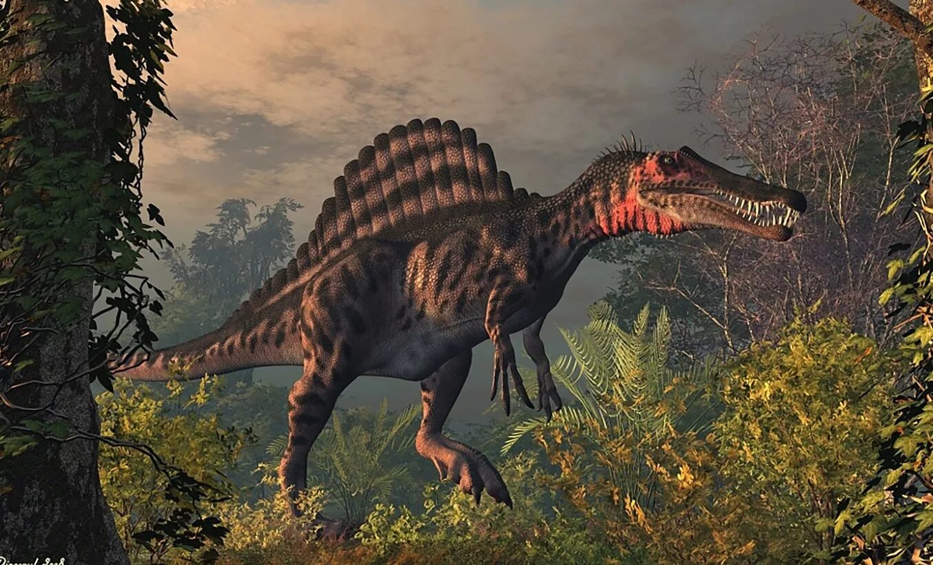 Динозавр Спинозавр. Хищные динозавры Спинозавр. Аллозавр Карнозавр. Спинозавр Египетский. Большой динозавр хищник
