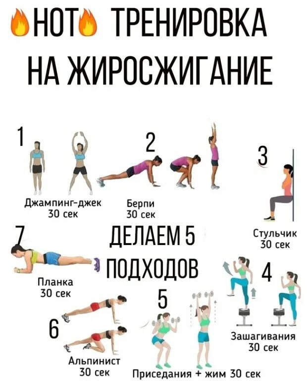 тренировка круговая круговая в тренажерном зале. тренировки для сжигания жира. круговая тренировка. круговые тренировки для сжигания жира для женщин. круговые упражнения для девушек.