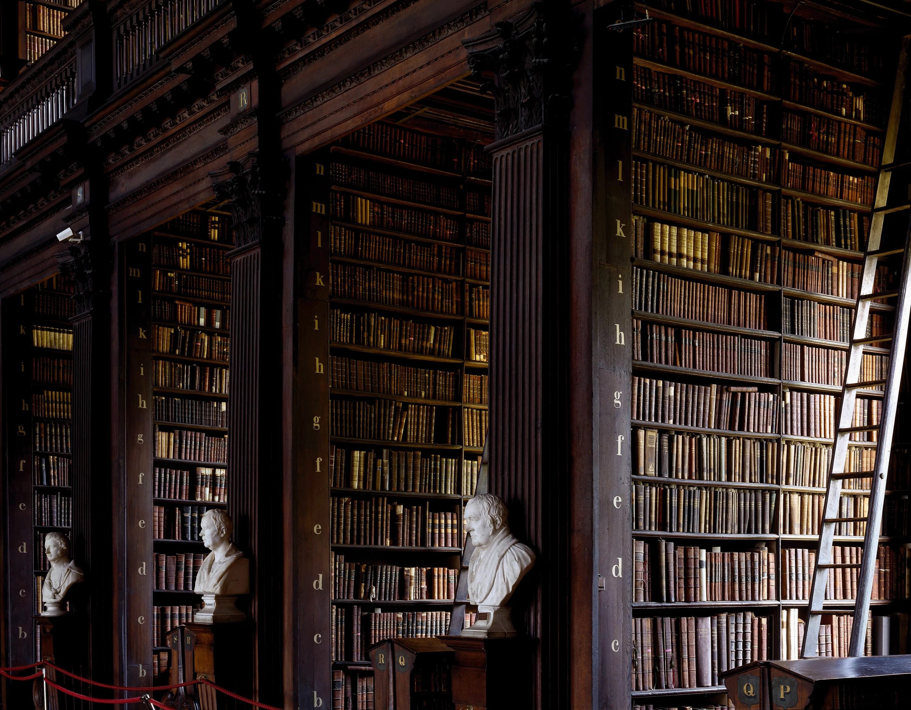 Библиотека library. Тринити колледж португалия библиотека. самые красивые библиотеки мира. красивая библиотека. старинная библиотека.