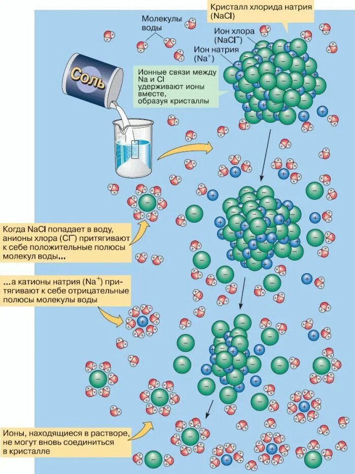 Схемы растворение вещества в воде. Механизм растворения хлорида натрия в воде. Механизм растворения веществ в воде. Хлорид натрия растворяется в воде. Ионы в дистиллированной воде