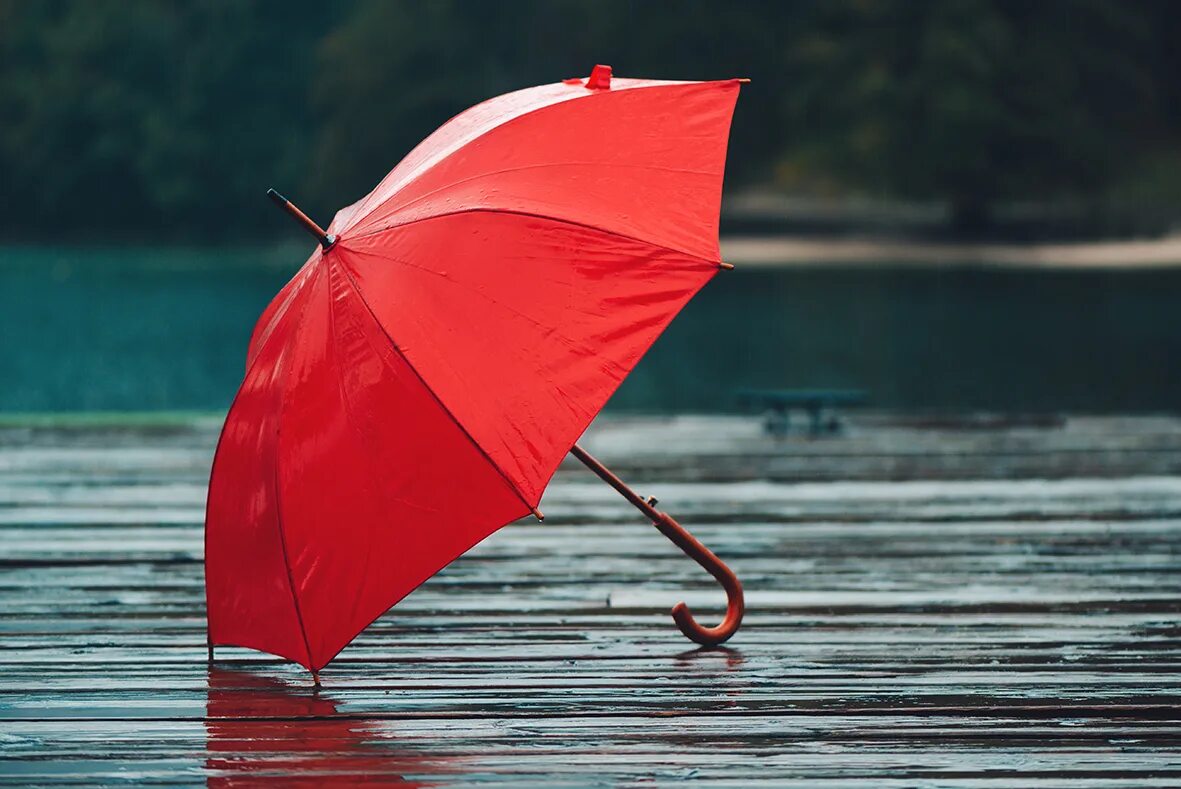 Зонт. Красный зонт. Красивый зонт. Под зонтиком. Обои зонтика