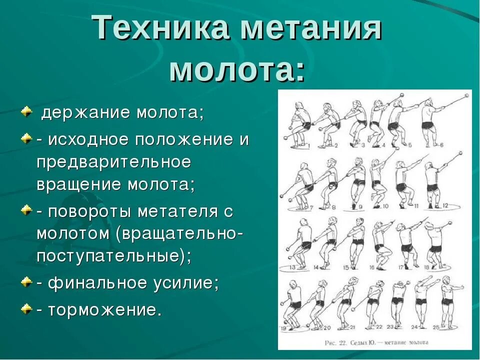 5 класс метание. Метание молота в легкой атлетике техника. Фазы техники метания молота:. Техника метания молота кратко. Фазы техники метания (толкания).