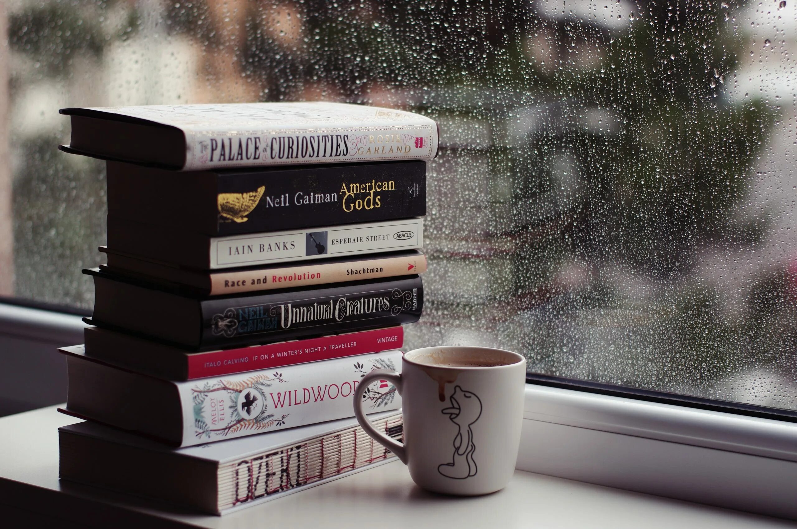 10 книг которые стоит. Книга о кофе. красивые книги. зимняя книга. книга дождь.