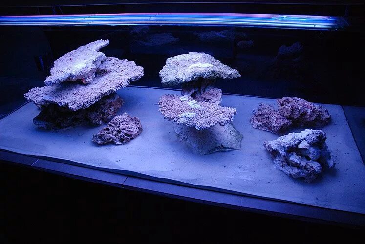 Морские живые камни. Акваскейп морского аквариума. Живые камни для морского аквариума. Морской аквариум камни. Рифовый камень в аквариуме.