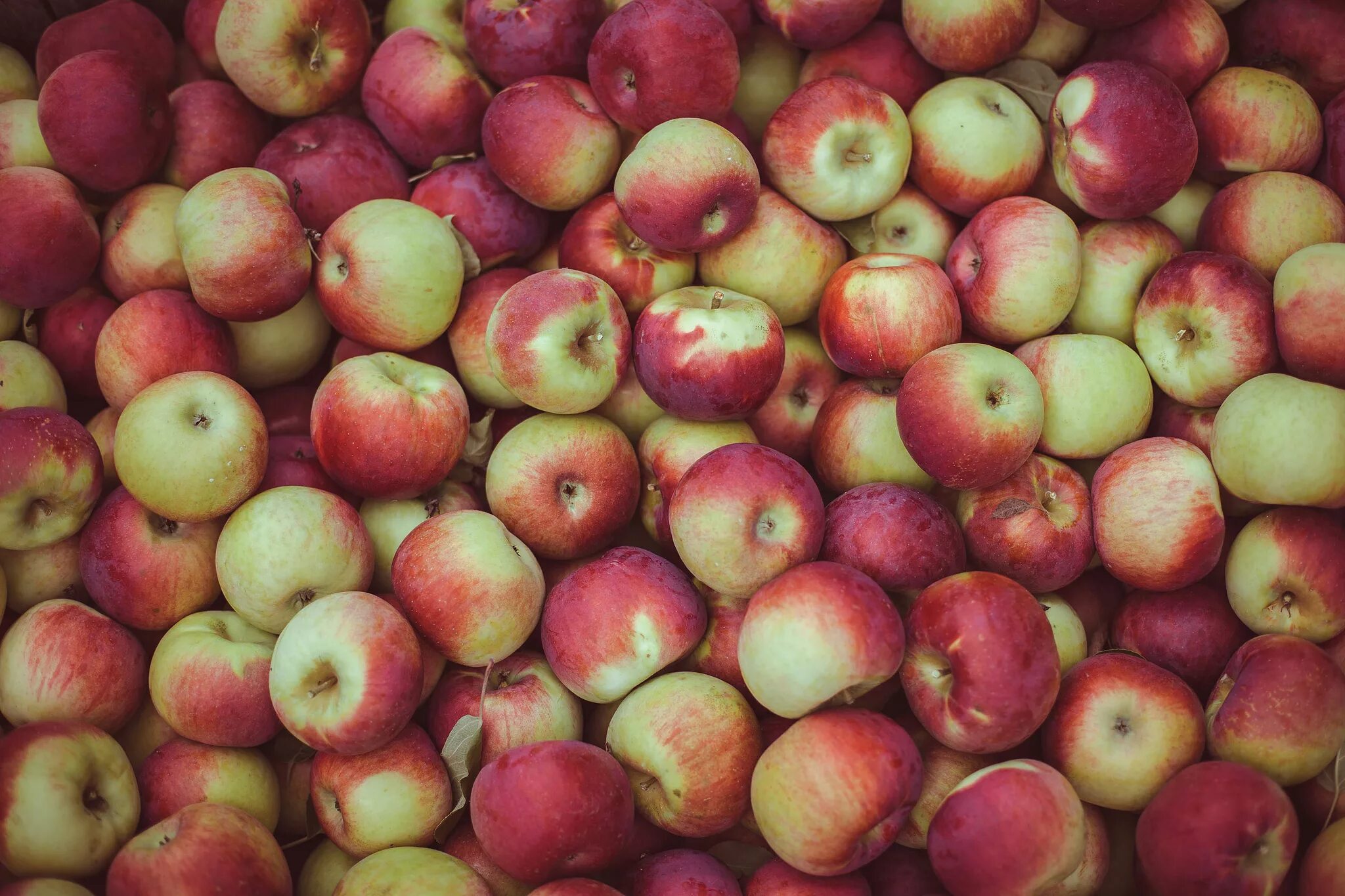 Many apples