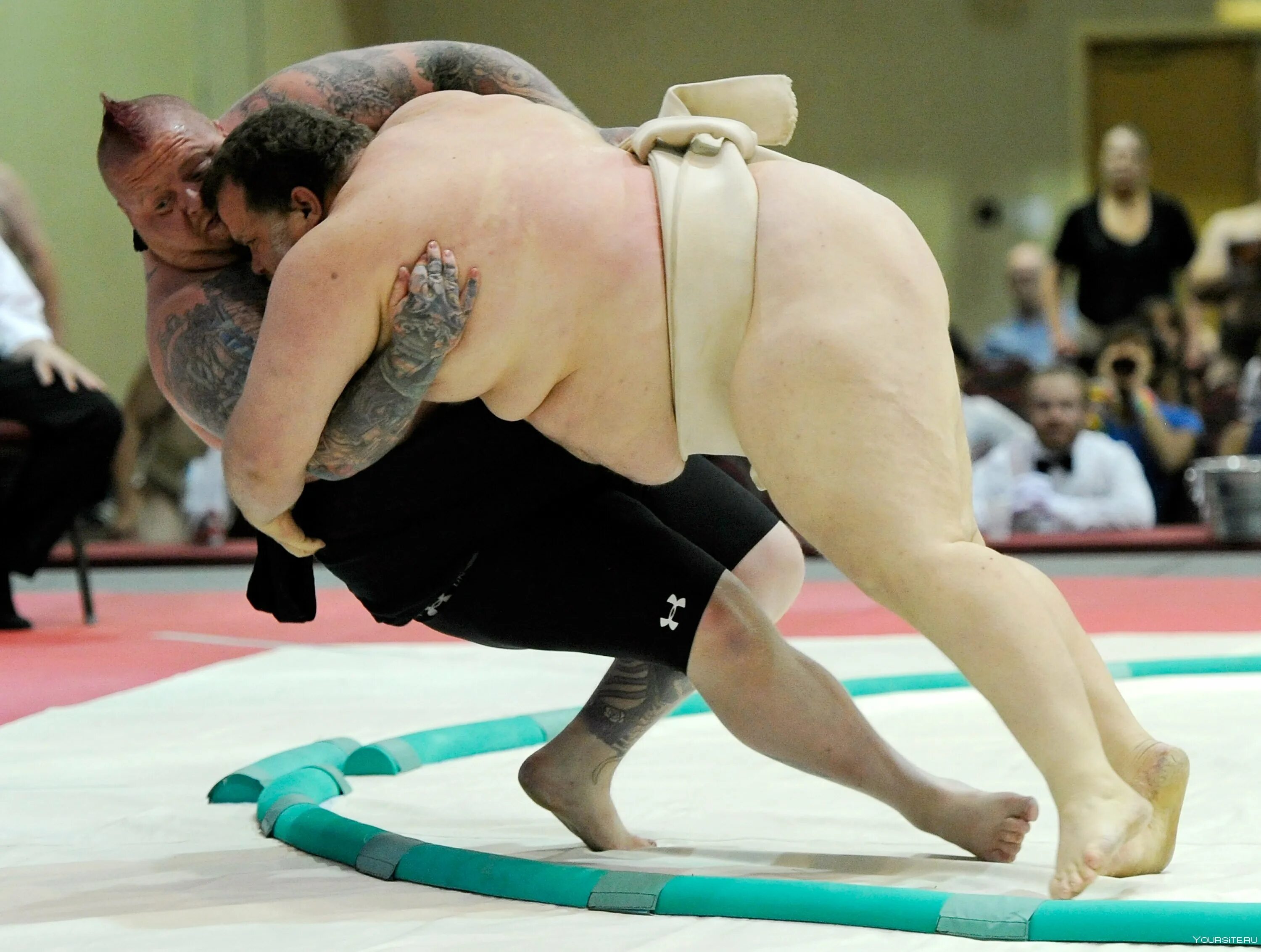 Битва толстяков. Сумо боевые искусства японии. Японские борцы сумо. Битва толстяков. Битва толстяков.