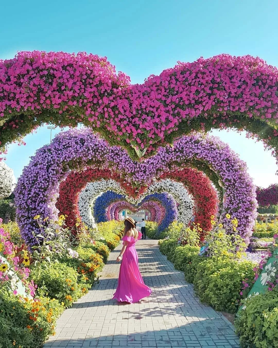 Миракл Гарден Дубай. Парк цветов Dubai Miracle Garden. Миракл Гарден парк бабочек. Дубайский Ботанический сад. Сами красивая цвети