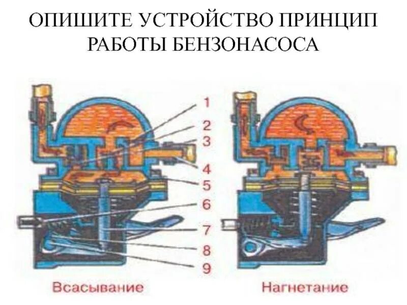 Топливный насос принцип. Топливный насос 2107 карбюратор. Топливный насос ВАЗ 2107 карбюратор схема. Схема бензонасоса ВАЗ 2107 карбюратор. Топливный насос ВАЗ карбюратор принцип.