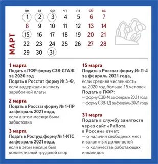 Отчеты кадры 2023