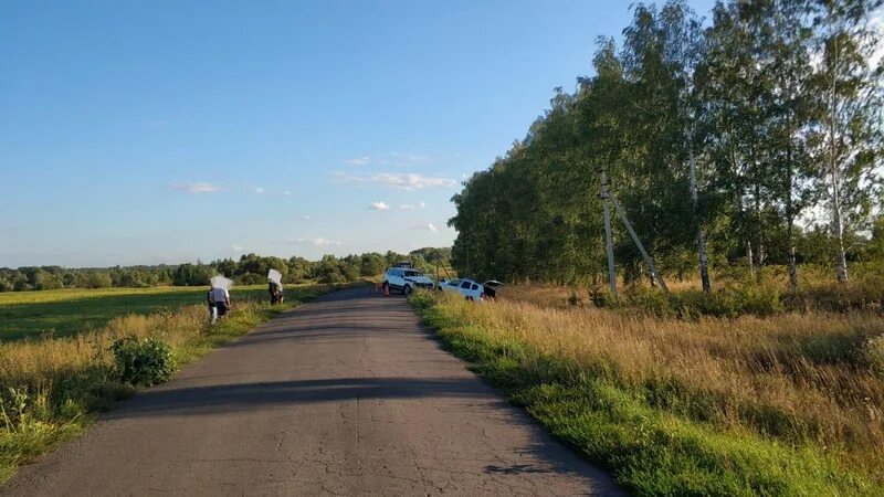 Погода в сосновке тамбовской области на 3. Деревня Сосновка Тамбовская область. Сосновка Мичуринск. Село Никольское Тамбовской области. Большая Сосновка Мичуринский район Тамбовская область.