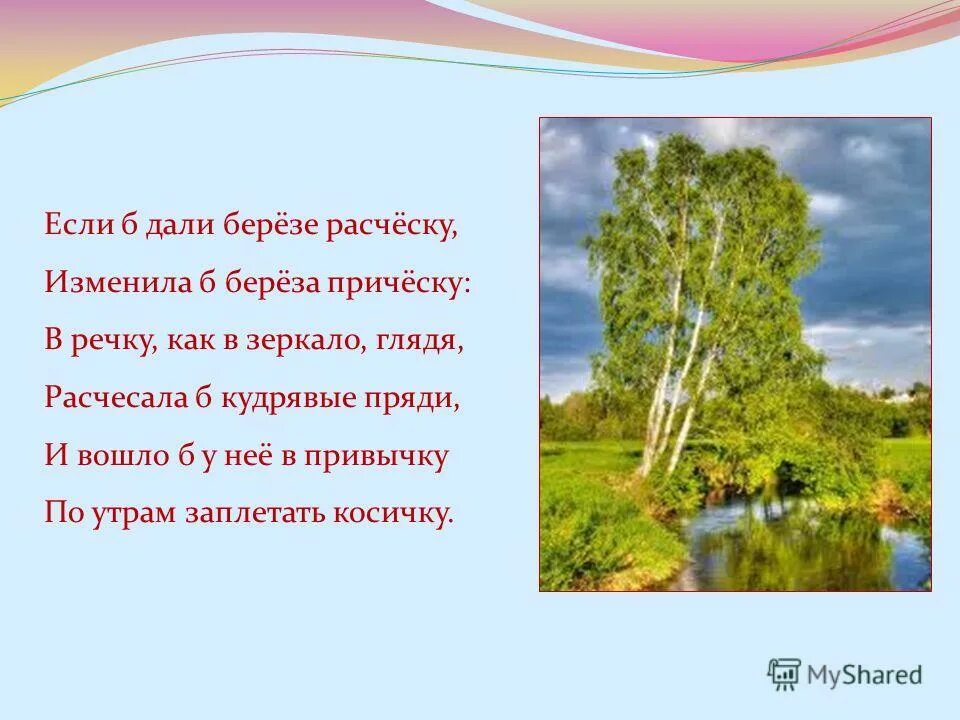 Стихотворение если б дали Березе расческу. Стих про березу. Токмакова береза стих. И Токмакова если б дали Березе расческу.