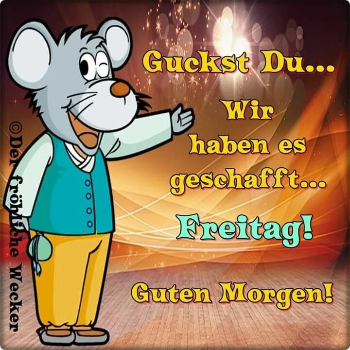 Morgen haben. Morgen haben