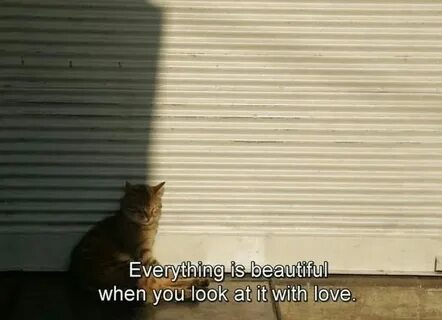 Everything was beautiful