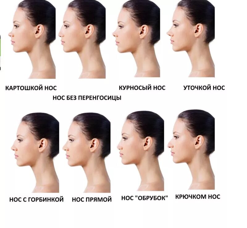 Почему нос назвали носом. Типы Носов курносый. Формы носа. Формы носа у женщин. Типы формы носа.