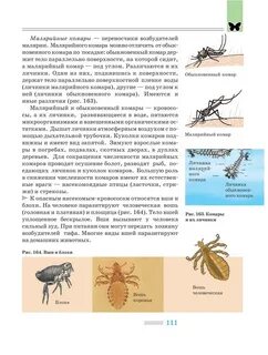 Таксоны малярийного комара систематические