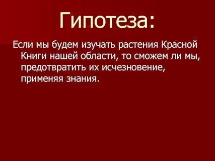 Гипотеза книга