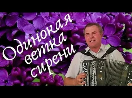Сидим на ветке песня