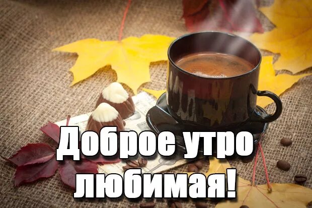 Смешное доброе утро любимому. Открытки с добрым утром прикольные. Смешное доброе утро любимому. Доброе утро вкусного завтрака. Доброе утро любимая прикольные.