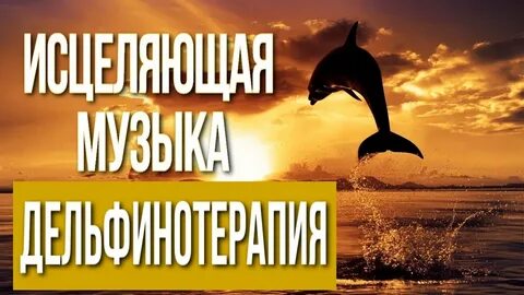 Музыка звуков дельфина