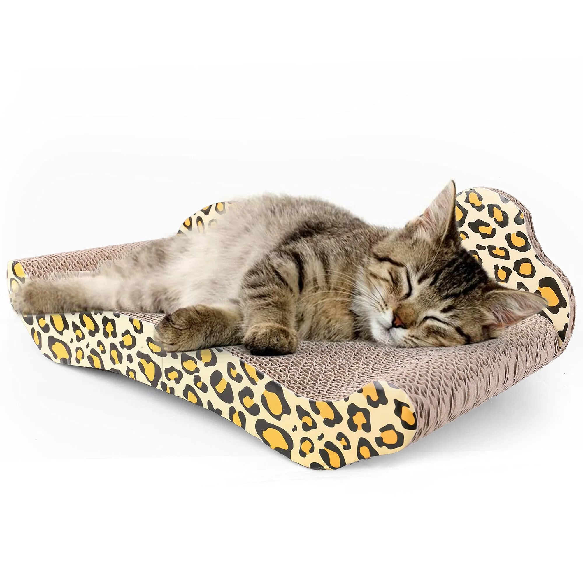 Как завязывать cat sofa. Cat sofa дутыши. cat sofa кроссовки poison. кэт энд софа. кошка софа.