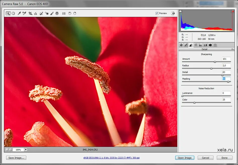Camera raw маскирование. Приложение для конвертирования фото. Иконка рав файла. Конвертер камера рав в фотошопе. Программы для открытия рав файлов.