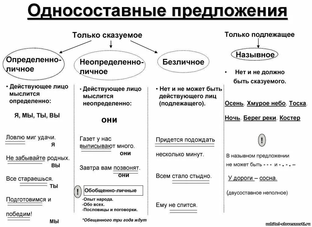 Конспект по теме виды