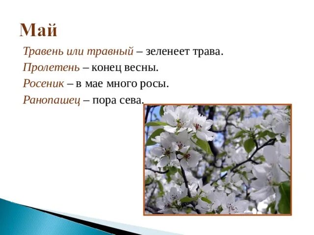 Как называется май. Май травень. май конец весны. травень месяц май. апрель цветень май травень.
