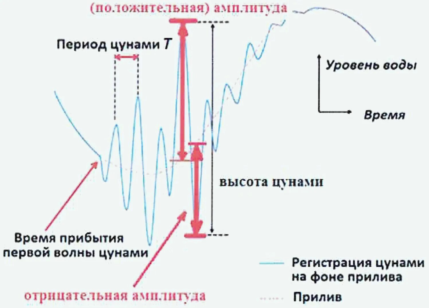 Может ли амплитуда быть отрицательной. Отрицательная амплитуда. негативная амплитуда. амплитуда прилива.