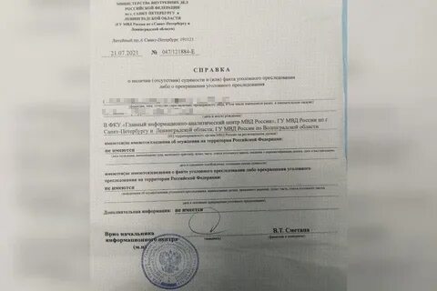 Сроки предоставления статистической отчетности о судимости