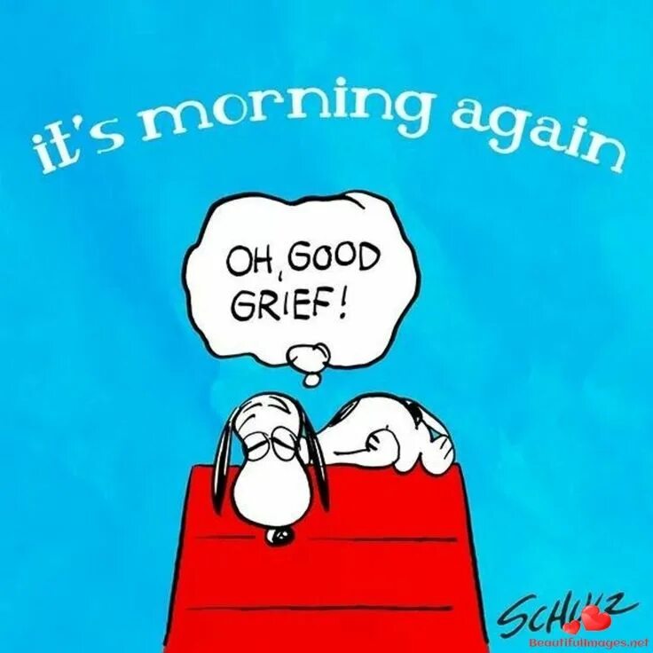 Is it morning there. Morning again. good morning! snoopy. утро again? again!.