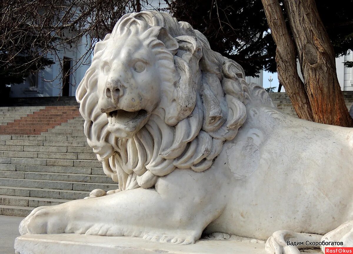 севастопольские львы. львы на графской пристани в севастополе. севастопольские львы. севастополь памятник со львом. севастополь достопримечательности графская пристань.