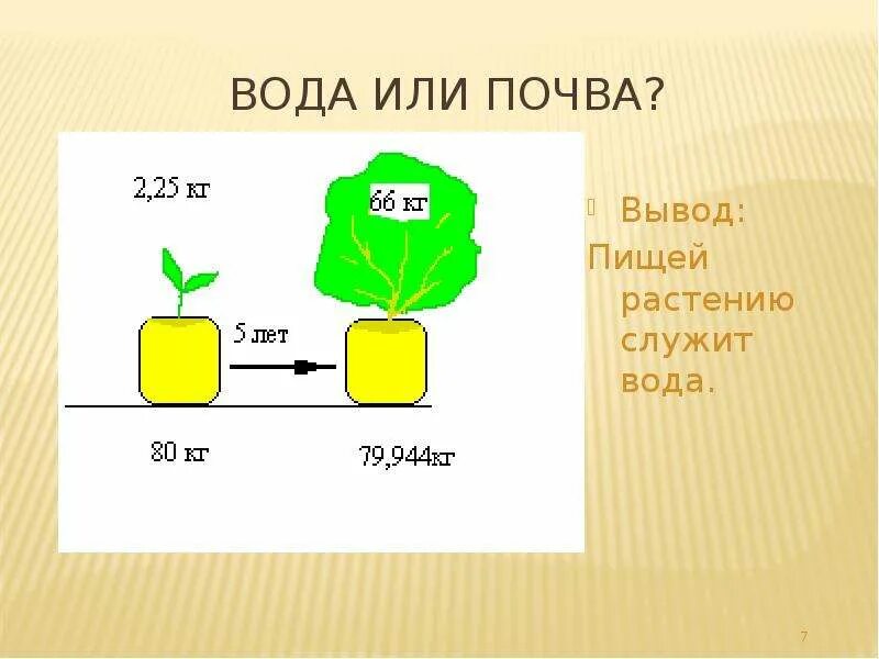 В результате какого процесса происходит выделение кислорода