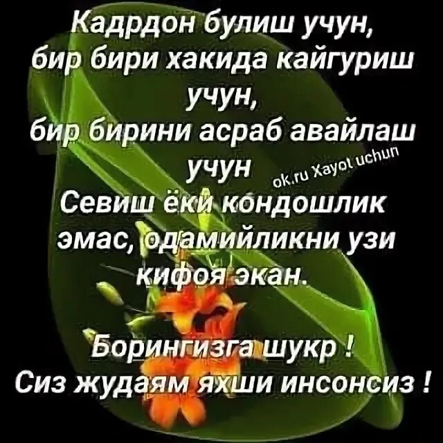 Умр бир галар