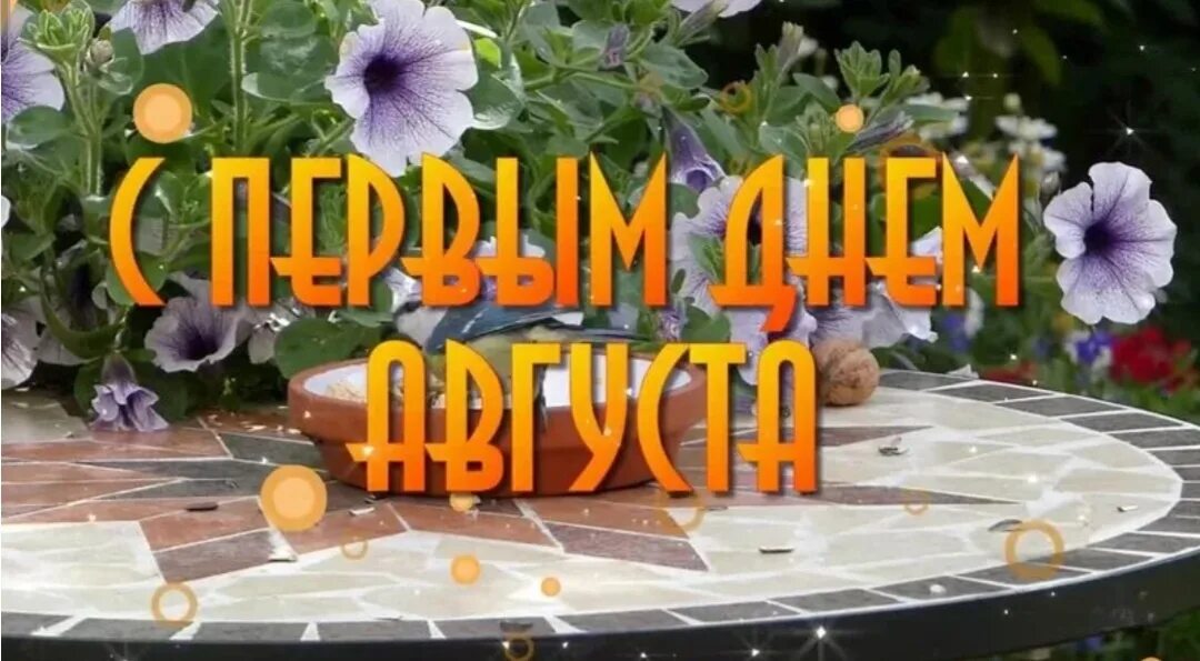 4 августа открытки. Открытки август праздники 2024г. Август — астры, август — звезды, август — грозди. Первое августа открытки. Прощай июль.