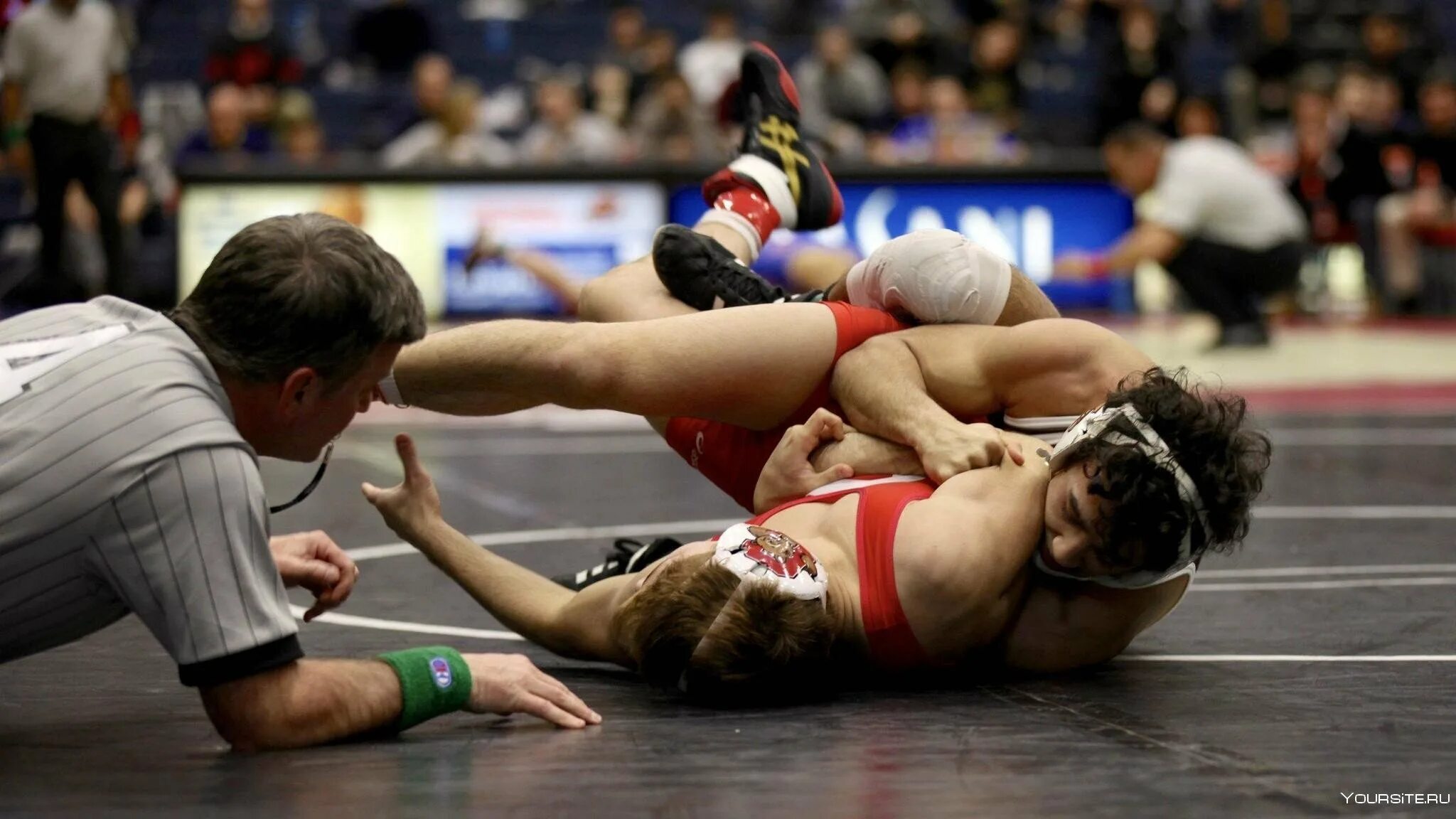 Аспекты борьбы с наркоманией. Бороться м. Силовая борьба. Стих про тренера. Степан стародубцев греко-римская борьба.