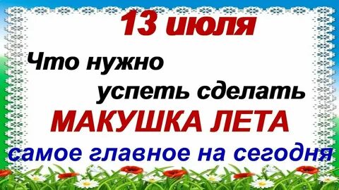 Сборы июль 2024