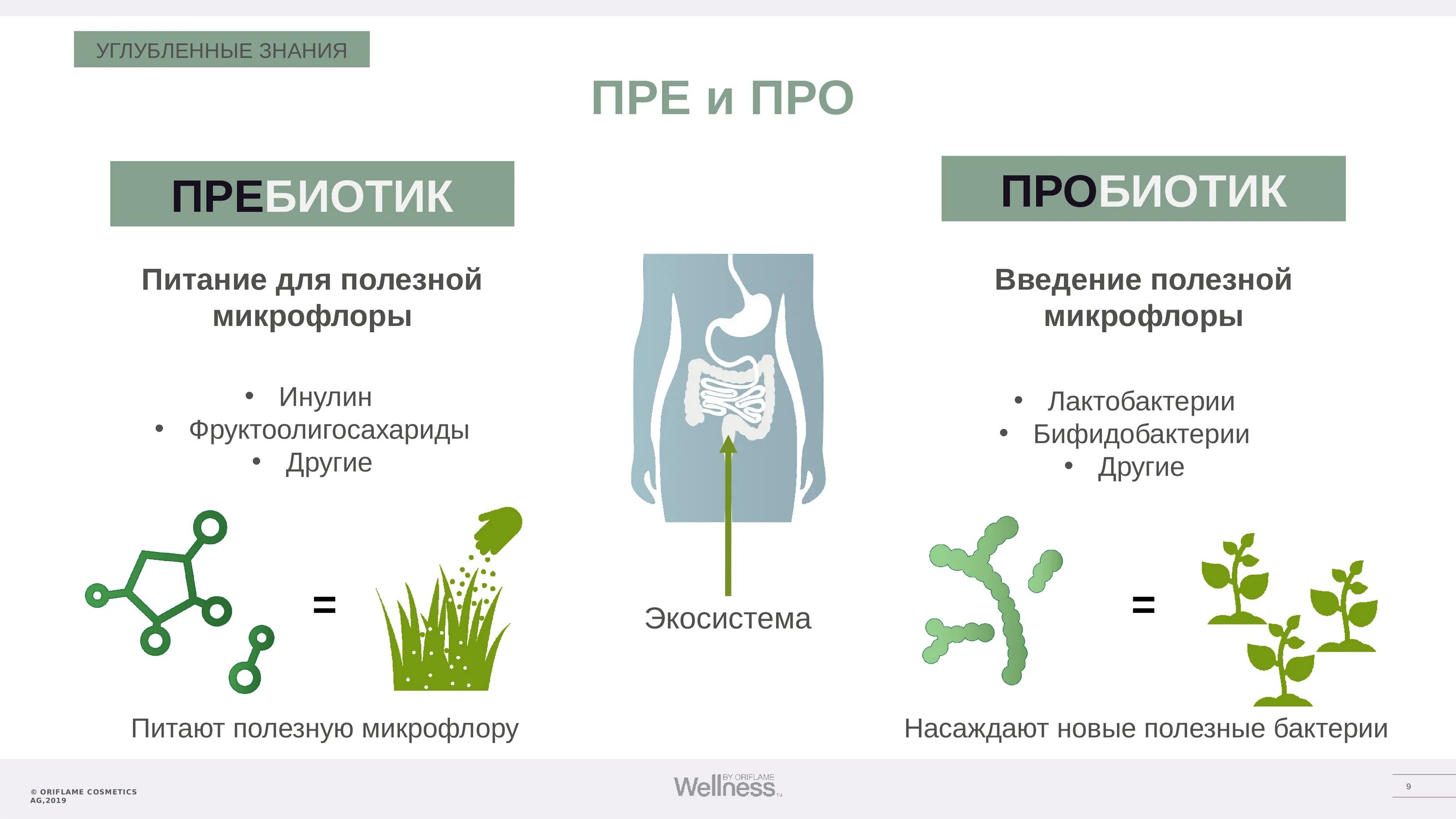 Для чего нужны пребиотики. Польза пробиотиков и пребиотиков. Полезные бактерии в микрофлоре кишечника. Бактерии и пребиотики для кишечника. Бактерии полезные и вредные в кишечнике.