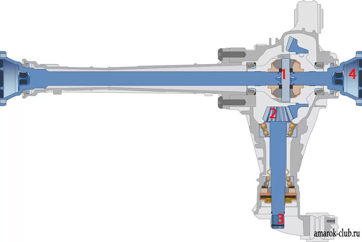Схема переднего редуктора Volkswagen Touareg. Задний мост Амарок. Задний мост для детского электромобиля Порше Кайман 180w. Раздатка амарок